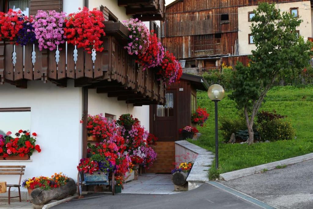 Piccola Suite Sul Civetta กอลเล ซานตา ลูเชีย ภายนอก รูปภาพ